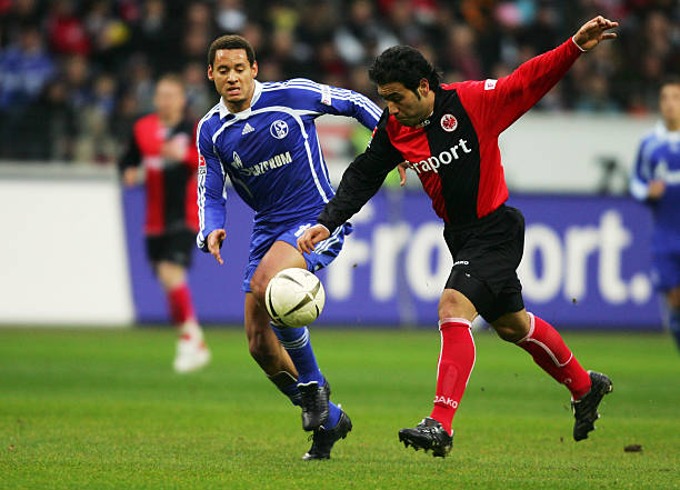 揭示马里奥 揭示马里奥